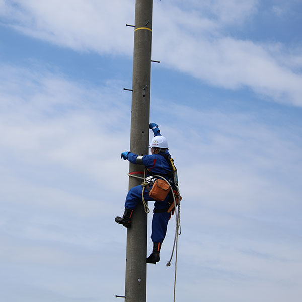 東配協新入社員合同研修